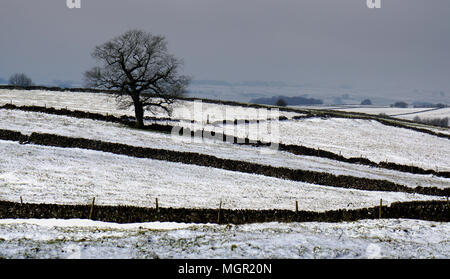 Felder in der Nähe von Elster Mine im Winter Stockfoto