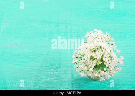 Weiße Blumen auf einem blauen Hintergrund Stockfoto