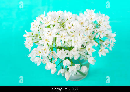 Weiße Blumen auf einem blauen Hintergrund Stockfoto