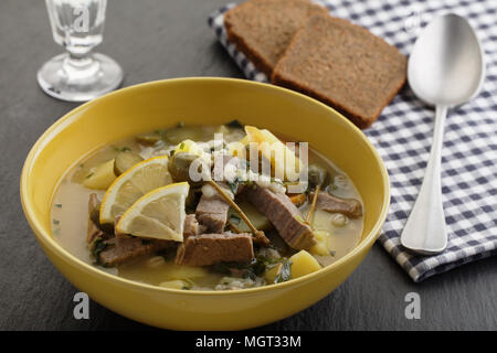 Traditionelle russische Suppe Rassolnik mit Gurken, Fleisch und Graupen Stockfoto