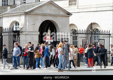 Eine montierte Trooper der Household Cavalry von Touristen umgeben, auf der Hut im Whitehall, London England Großbritannien Stockfoto