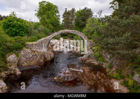 Ein Blick auf die alte Packesel Brücke in Carrbridge in den schottischen Highlands Stockfoto