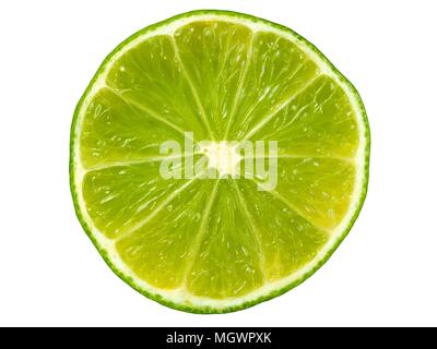 Limettenscheibe isoliert auf weißem Hintergrund. Stockfoto