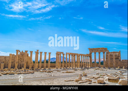 Die Große Kolonnade in Palmyra, die wichtigsten Säulen Avenue in der antiken Stadt Palmyra in der syrischen Wüste. Stockfoto