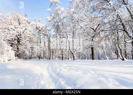 Blick auf verschneite Timiryazevskiy Forest Park der Stadt Moskau im sonnigen Wintermorgen Stockfoto