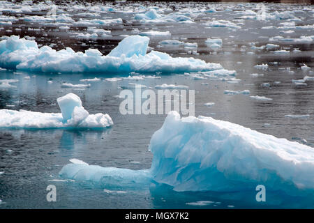 Drygalski Fjord South Georgia Islands, mini Eisberge am Hafen Stockfoto