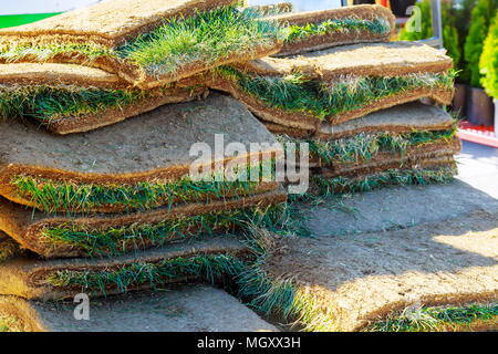 Gras Teppichrollen geschält aus Böden in Wohn- Entwicklung. Wohnungen von sod-Rollen Stockfoto