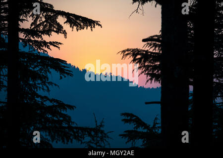 Sonne zwischen den Bäumen in der winzigen Himalayan Dorf Lagga, in Chamba entfernt Stockfoto