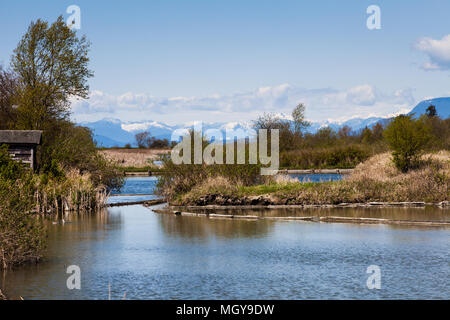 Blick auf die George C Reifel wandernden Vogelschutzgebiet in Delta, British Columbia, Kanada Stockfoto