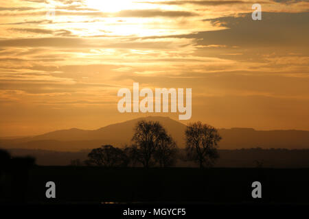 Goldenen Dämmerung Sonnenaufgang über dem Wrekin und die Shropshire Hügel mit Bäumen in Silhouette. Stockfoto