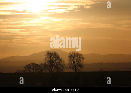 Golden sunrise Dämmerung über die wrekin und die shropshire Hills Stockfoto