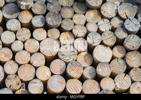 Vorbereitung der Winter Brennholz. Aus vielen kleinen und großen Risse Protokolle Flor. Ökologische Konzepte und Prinzipien. Für natürliches Design, Muster, Backgr Stockfoto