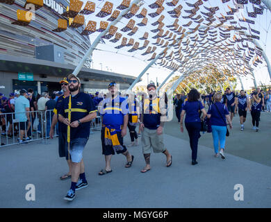 AFL Australian Football fans bis zu den ersten Derby von Fremantle Hafenarbeiter und West Coast Eagles bei Optus Stadion, Perth, WA, Australien. Stockfoto