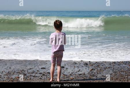 Dana Point Beach im Frühling Stockfoto