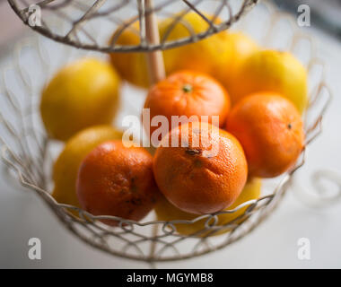 Frische Mandarinen und Zitronen in einem Drahtkorb Stockfoto