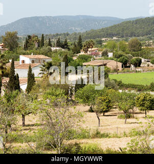 Binissalem, Mallorca, Balearen, Spanien. 2018. Landschaft rund um die Altstadt im Zentrum von Mallorca Stockfoto