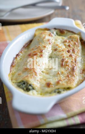 Cannelloni mit Ricotta und Spinat in einer Auflaufform. Flache DOF Stockfoto