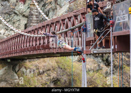 Frau Bungee-Jumping von der Kawarau Gorge Suspension Bridge in der Nähe von Queenstown Otago South Island, Neuseeland Südinsel Neuseeland Stockfoto