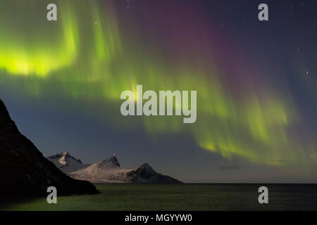 Intensive Aurora borealis, Northern Lights, form spektakuläre Muster in einer klaren Nacht Himmel über die Lofoten, Norwegen Stockfoto