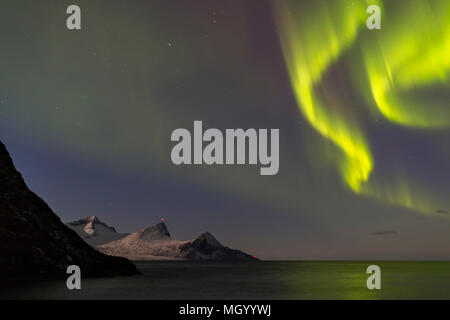 Intensive Aurora borealis, Northern Lights, form spektakuläre Muster in einer klaren Nacht Himmel über die Lofoten, Norwegen Stockfoto