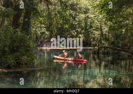 Kajak im Silver Springs Fluss in Ocala, Florida, USA Stockfoto