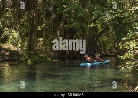 Kajak im Silver Springs Fluss in Ocala, Florida, USA Stockfoto