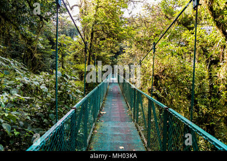 Hängebrücken in Nebelwald - Monteverde, Costa Rica Stockfoto