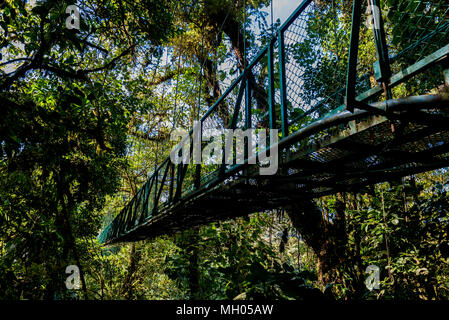 Hängebrücken in Nebelwald - Monteverde, Costa Rica Stockfoto