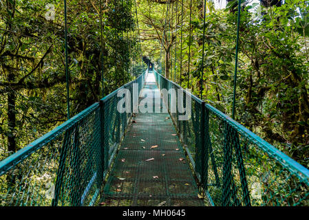 Hängebrücken in Nebelwald - Monteverde, Costa Rica Stockfoto