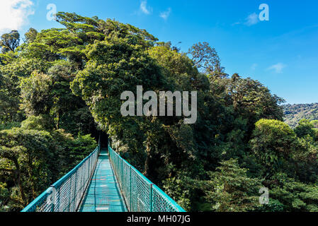 Hängebrücken in Nebelwald - Monteverde, Costa Rica Stockfoto