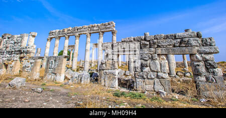 Große Kolonnade in Apamea, die wichtigsten colonnaded Straße der alten Stadt von Apamea in der Orontes Tal im Nordwesten von Syrien. Stockfoto