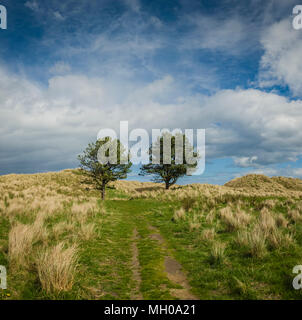 Bamburgh Beach, Northumberland, Großbritannien. Stockfoto