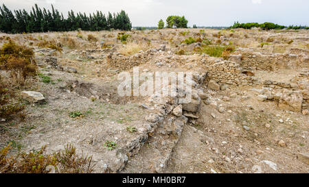 Natur von Ugarit, einer alten Hafenstadt an der östlichen Mittelmeer am Ras Shamra Landspitze, rund 11 Kilometer nördlich von Latakia in Nordsyrien n Stockfoto