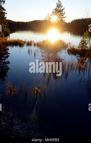 Abendsonne setzt auf die Norwegische See bei Nordbysjøen in der Nähe von Nitra und Oslo, Norwegen Stockfoto