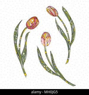 Tulpen Vector Illustration. Hand Blumen Natur Hintergrund dargestellt. Stock Vektor