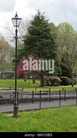 Strathaven Park, John hastie Park, South Lanarkshire an einem sonnigen Tag Stockfoto