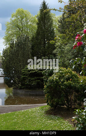 Strathaven Park, John hastie Park, South Lanarkshire an einem sonnigen Tag Stockfoto