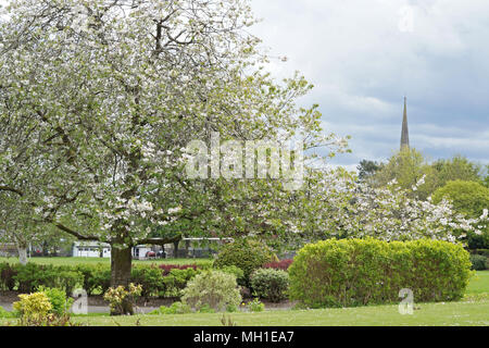 Strathaven Park, John hastie Park, South Lanarkshire an einem sonnigen Tag Stockfoto