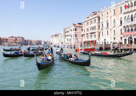 Mehrere gondeln mit Touristen, eine Sightseeing Tour durch die Stadt an der Grand Canal an St Marks Becken, Venedig, Venetien, Italien Stockfoto