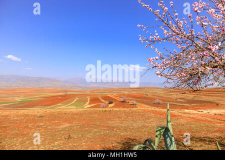 Malealea Straße Dorf in der Nähe von Mountain und Kultivierung Feld Stockfoto