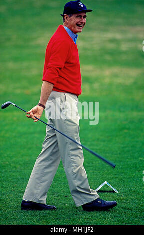 Camp Springs, Maryland, USA, 1992 Präsident George H.W. Buschwanderungen uo auf der Fahrrinne bereit, auf dem 18 Grün an der Andrews Air Force Base Golf zu putten. Stockfoto