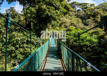 Hängebrücken in Nebelwald - Monteverde, Costa Rica Stockfoto