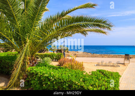 Palmen im Vordergrund- und Meerblick auf die Küste der Insel Mallorca in der Nähe von Cala Ratjada, Spanien Stockfoto