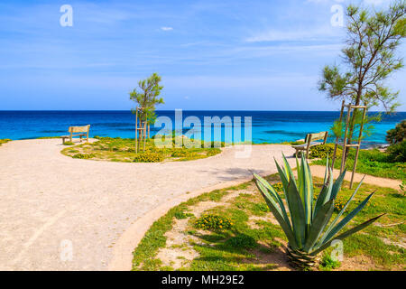 Tropische Pflanzen auf die Küste der Insel Mallorca in der Nähe von Cala Ratjada, Spanien Stockfoto