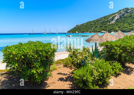 Tropische Pflanzen am Strand Santa Giulia und Meerblick, Insel Korsika, Frankreich Stockfoto