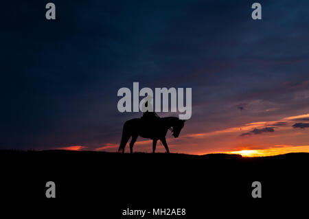 Reiter, Reiter mit Pferd, allein in der Landschaft, Reiter auf der Seite Stockfoto