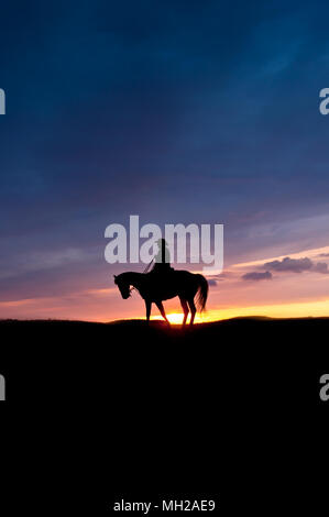 Reiten im Abendlicht, allein in der Landschaft Stockfoto