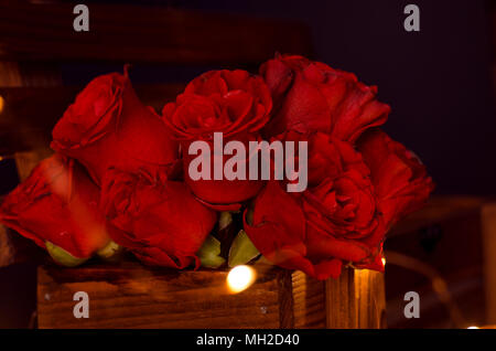 Rote Rosen in der Dunkelheit. Stockfoto