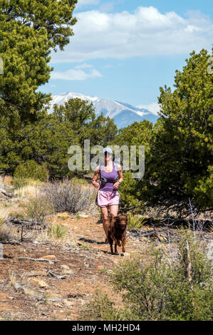 Weibliche Trail Runner mit ihrem Hund; wenig Rainbow Trail in der Nähe von Salida, Colorado, USA Stockfoto