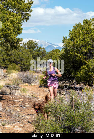 Weibliche Trail Runner mit ihrem Hund; wenig Rainbow Trail in der Nähe von Salida, Colorado, USA Stockfoto